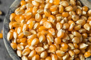 Raw Dry Organic Yellow Popcorn