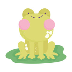 cute frog cartoon