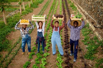 Multiracial gardening people holding wooden box of harvested organic fruits and vegetables -...