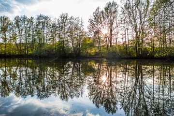 Kleiner Waldsee im Frühjahr