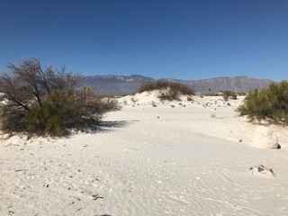 Dunas de Yeso, Cuatro Ciénegas Coahuila