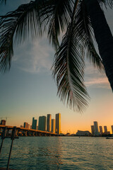 Obraz na płótnie Canvas sunset over the city miami florida summer tropical palm