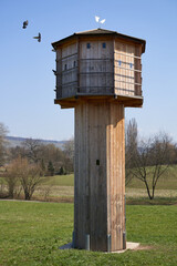 Brown pigeon tower (taubenturm) made of wood. The building stands on a green meadow and serves the animals as a shelter and breeding ground. Birds fly in front of the building. Front view.