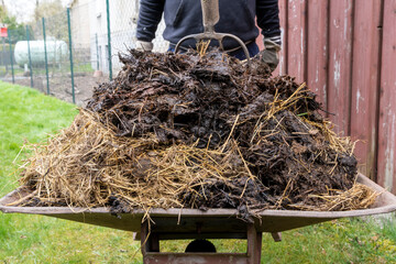 Farm fresh well rotted manure. Great organic fertilizer. Here with wheelbarrow.