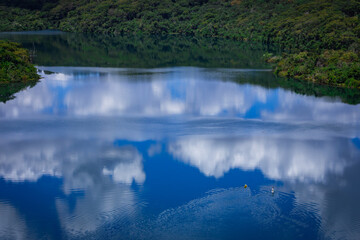 Partial landscape with reflections in the water, seen over the Pontilhao de Uberlândia, over the waters of the Araguari River, Municipality of Uberlândia State of Minas Gerai, Brazil