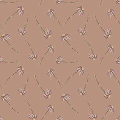 Floral seamless pattern. Chamomiles on brown background. Hand drawn