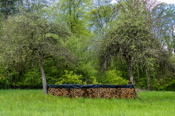 Brennholzlager auf Wiese © focus finder