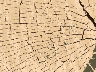 Abstract artistic background, colorful abstract vector template. Natural Wood Crack Texture, Background, Vector, Template.