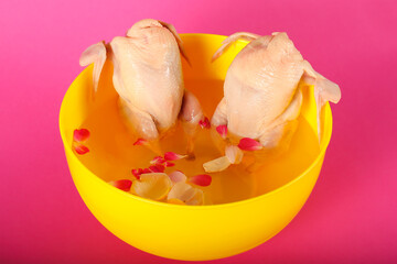 partridges in the water on a pink background