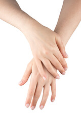 Close up hands of girl isolated on white background. Woman hands gesturing isolated on white background.