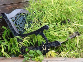 Bench and leaves in nature