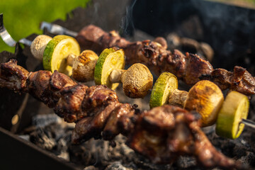 Grilled meat with vegetables on coals