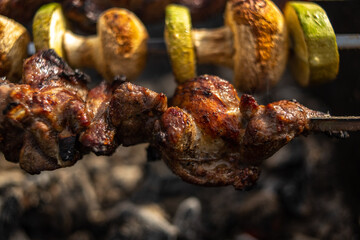 Grilled meat with vegetables on coals