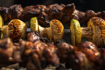 Grilled meat with vegetables on coals