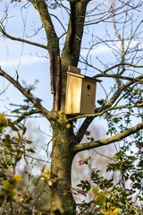 A homemade wooden birdhouse standing on a branch of a leafless tree in a garden on a sunny day. The bird hole of the nest box is visible and it is mounted on the tree with some wire and sticks.