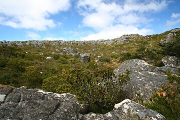 View from Table Mountain to Cape Town. High 1,086 meters. Republic of South Africa.
