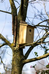 A wooden homemade birdhouse standing on a branch of a leafless tree in a garden on a sunny day. The bird hole of the nest box is visible and it is mounted on the tree with some wire and sticks.