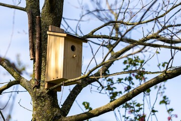 A homemade birdhouse standing on a branch of a leafless tree in a garden on a sunny day. The bird hole of the nest box is visible and it is mounted on the tree with wooden some wire and sticks.