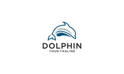 dolphin logo in addition to a splash of water on a white background