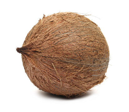 Fruit coconut isolated on white background 