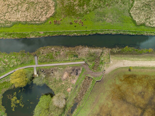 aerial view of the river in summer