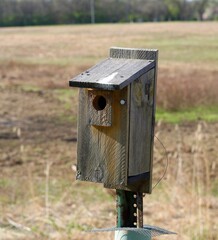 A close view of the old wood birdhouse in the field.