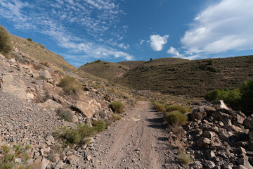 forest track in the mountain in southern Spain