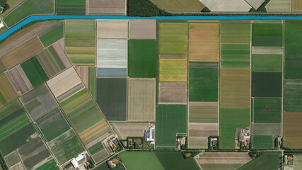 colorful fields bird's eye view, land consolidation and cultivated fields looking down aerial view...