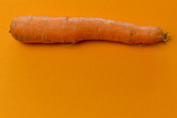orange carrot on orange textured paper background with a lot of space for copy close up	