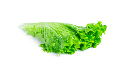 Lettuce leaves isolated on a white background.