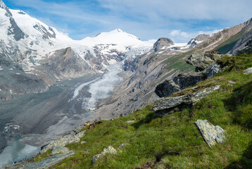 Leftovers of the highest mountain glacier in Austria