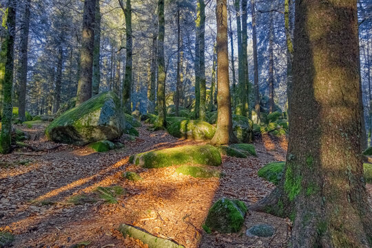 The Guenterfelsen, a large, mossy rock formation with a sun ray on the autumn foliage, at the Brend Way in the Black Forest, Southwest Germany