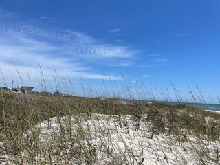 Sand dunes with sea grass by the beach