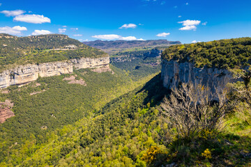 Fototapeta na wymiar View of the Tavertet cliffs from the north. Collsacabra, Osona, Catalonia, Spain