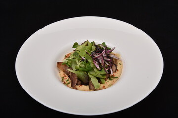duck meat in sauce with organic salad