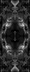 Fototapeta na wymiar Psychedelic Abstract Faces, made with Sea Rocks, Symmetrical Kaleidoscope Mirror, Abstract Background.