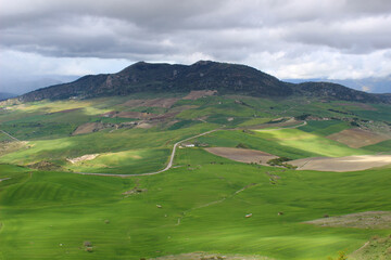 Fototapeta na wymiar Landscape of the Serranía de Ronda, region of the province of Malaga (Andalusia, Spain)