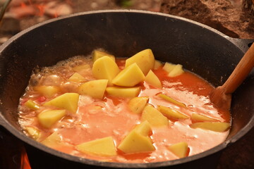 food cooking in stew pot in the nature ,romanian , tocana,traditional ceaun,culdron