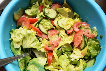 A mixed salad with cucumber, tomatoes, red pepperm and red onion.