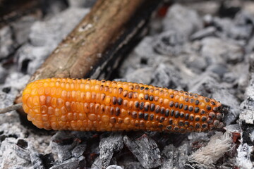 Corn grilled on charcoal