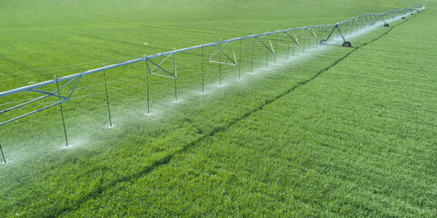 watering the crops in the field © Tracy King