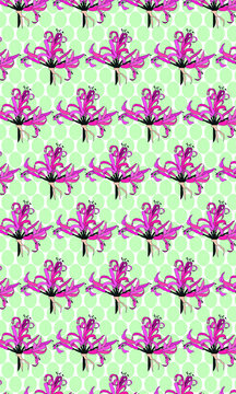 Vector illustration of amaryllis with pattern options of pink and green dotted backgrounds and patterns with amaryllises in 2 sizes