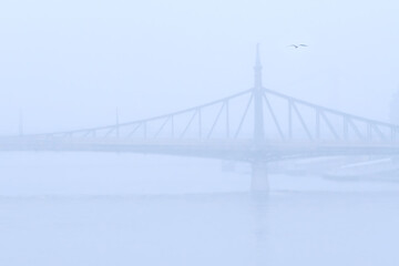 Fototapeta premium Liberty Bridge with seagull bird in foggy, snowing wheather, Budapest; color photo.