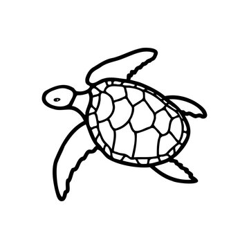 A hand-drawn turtle. Vector icon, doodle illustration. Drawing in a flat style. Coloring book on the sea theme.