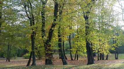 In the park,Wejherowo