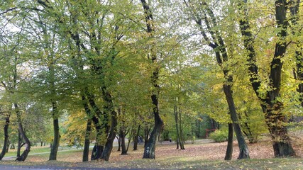 In the park 2 - Wejherowo