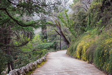 Obraz premium A picturesque alley of the park among bizarre spring vegetation