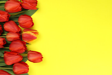 Bouquet of red tulip flowers on yellow background