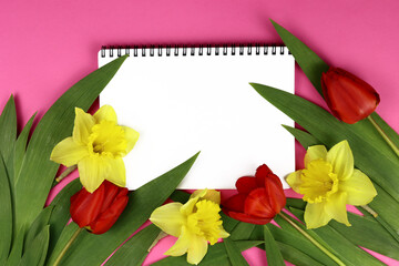 Mocap of spring flowers on a pink background