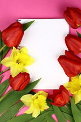 Mocap of spring flowers on a pink background. Vertical orientation